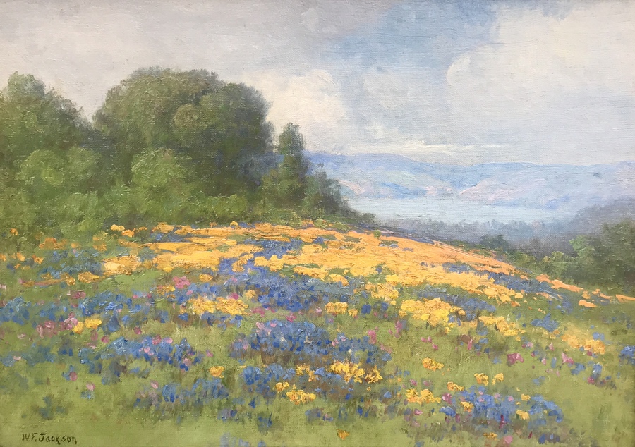 WILLIAM F. JACKSON - "California Poppies" - Oil on Board - 10" x 14"